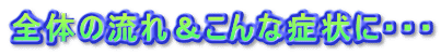 Ŝ̗ꁕȏǏɁEEE 